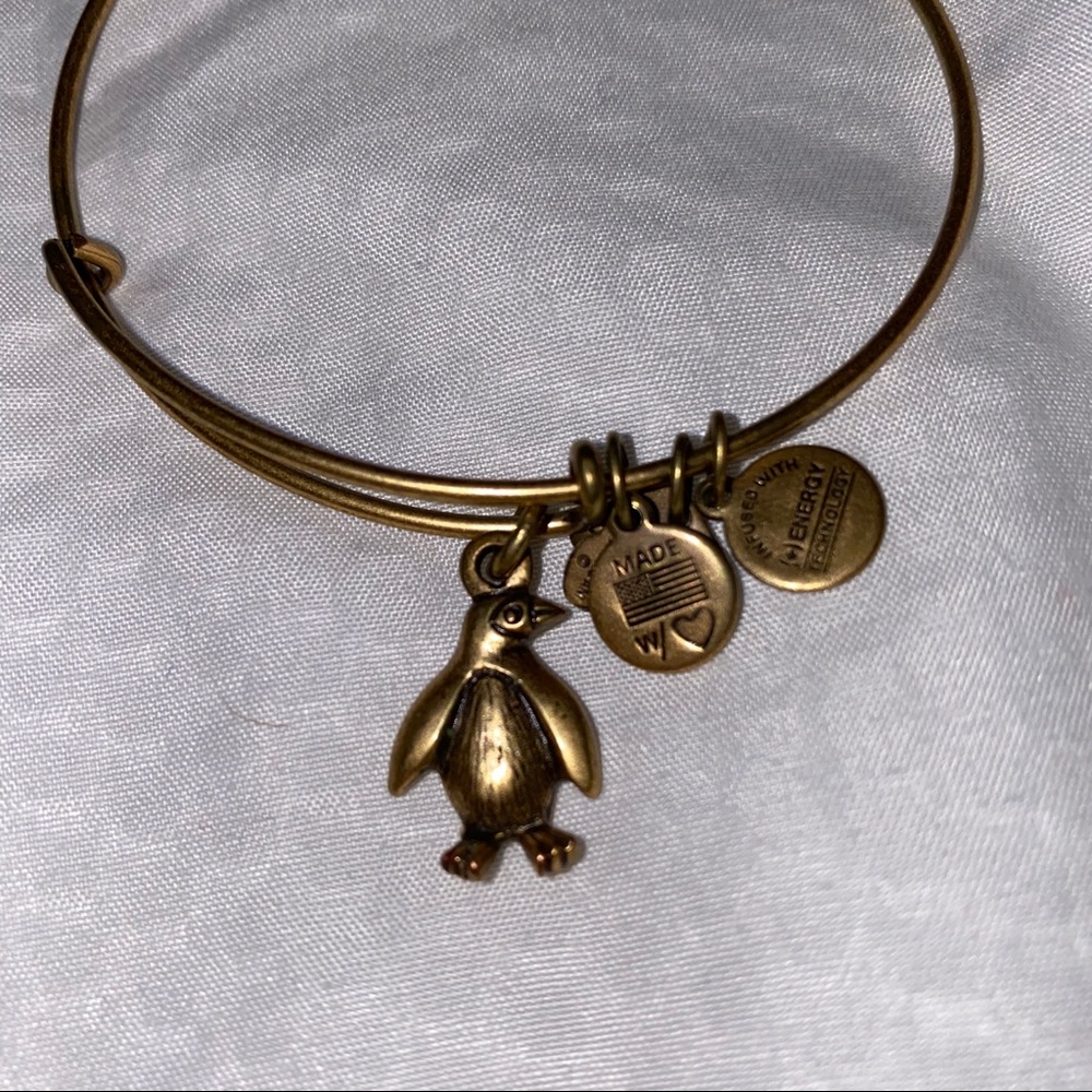 Alex and Ani Bracelet - Penguin